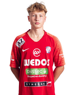 David Polášek